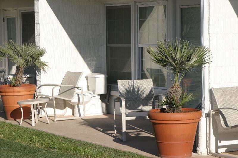 Carlsbad 004 Is that a toilet in the corner of the patio?